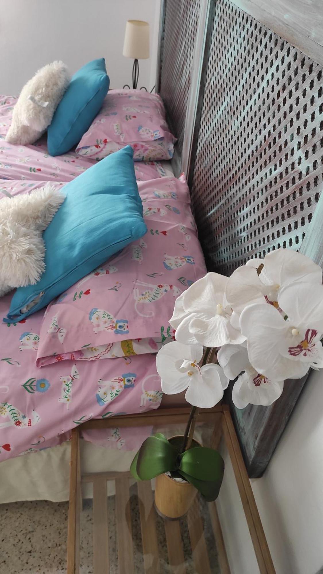 Centrico Piso Con Aparcamiento Gratuito Appartement Granada Buitenkant foto